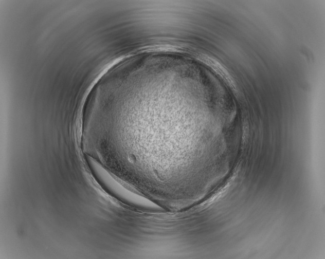 X0000112880844200909041639