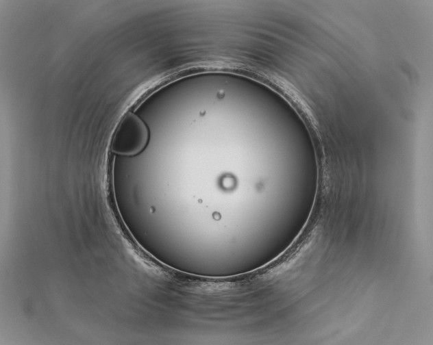 X0000112880845200909041639