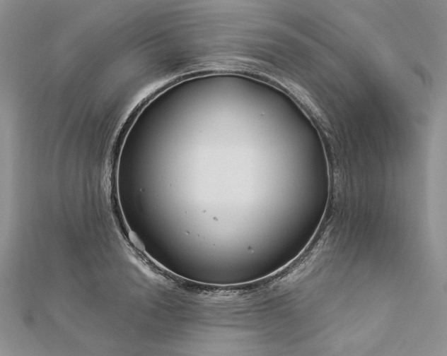 X0000112880846200909041639