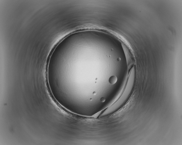 X0000112880847200909041639