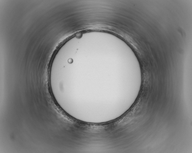 X0000112880848200909041639