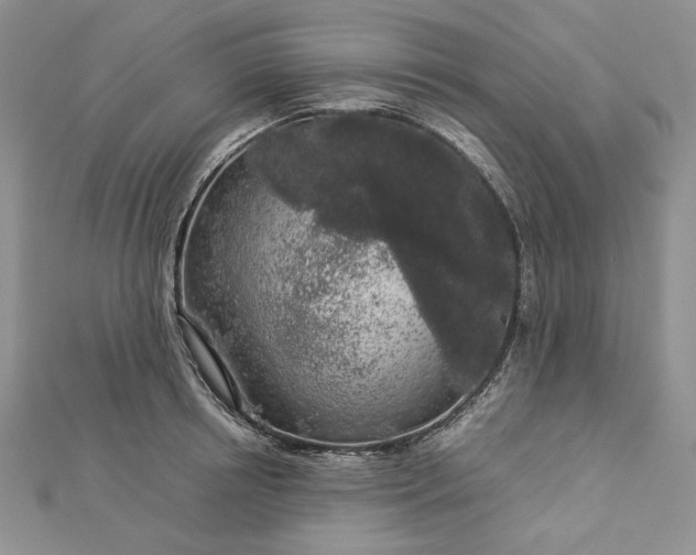 X0000112880850200909041640