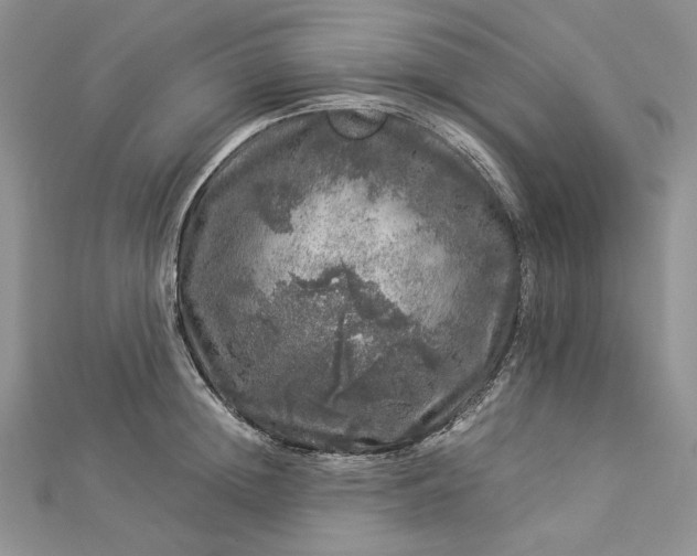 X0000112880852200909041640