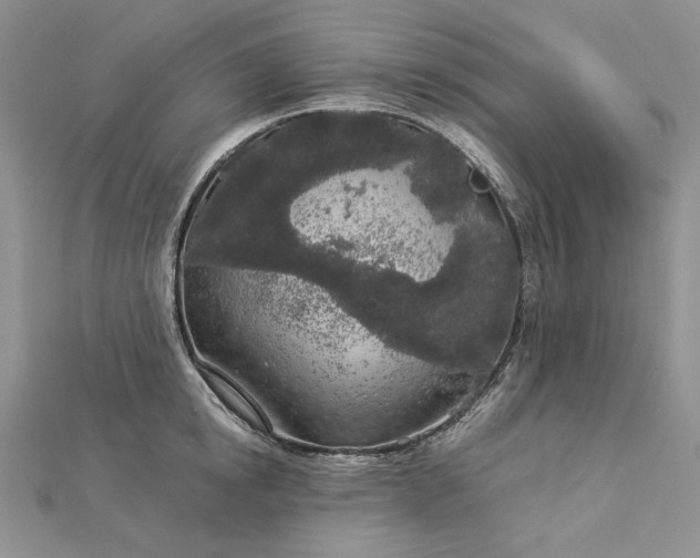 X0000112880854200909041640