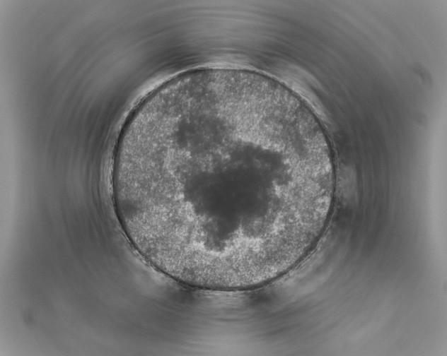 X0000112880856200909041640