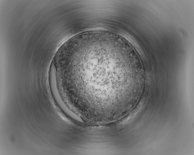 X0000112880858200909041640