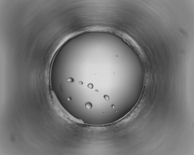 X0000112880860200909041640