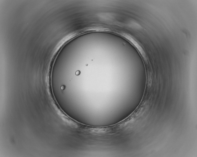 X0000112880861200909041640