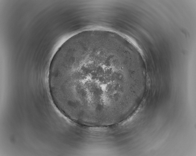 X0000112880863200909041640