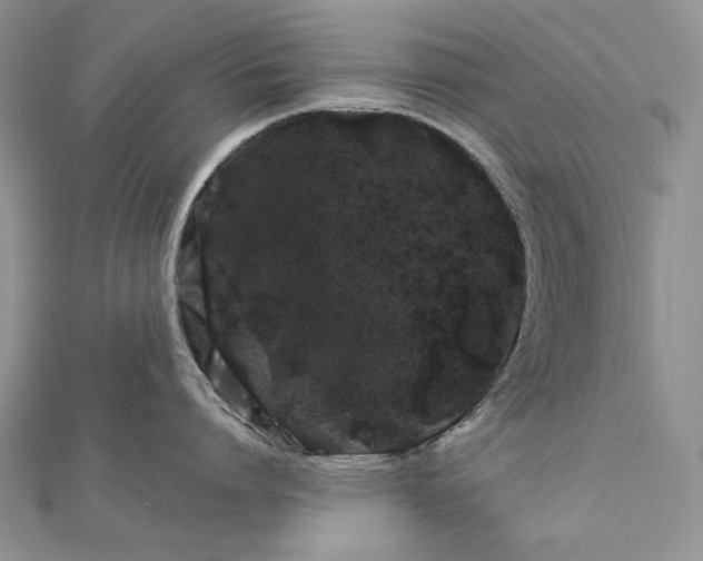 X0000112880864200909041640