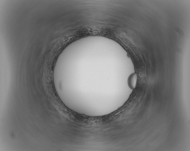 X0000112880865200909041639