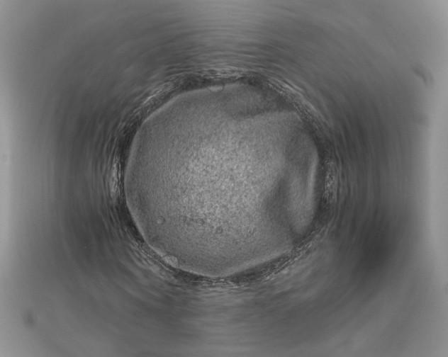 X0000112880866200909041639