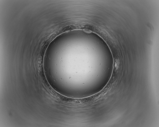 X0000112880867200909041639