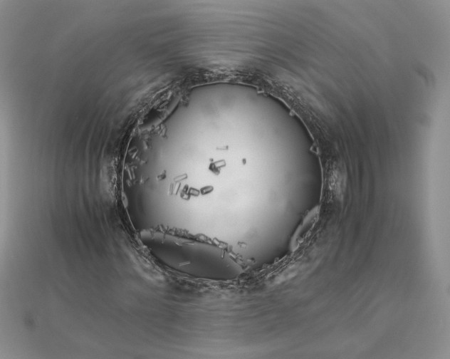 X0000112880868200909041639