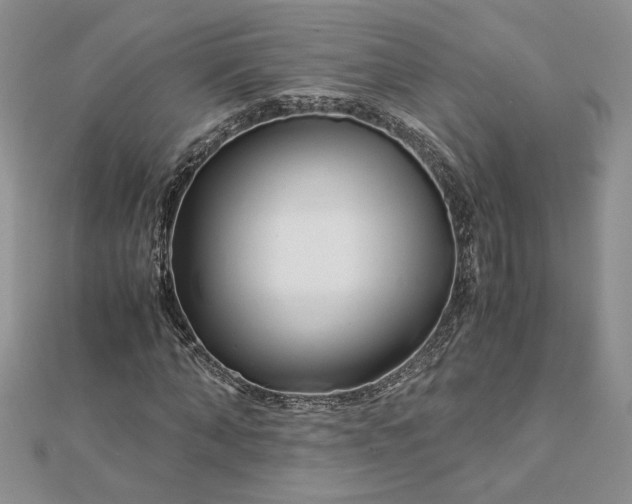 X0000112880870200909041639