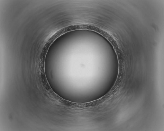 X0000112880871200909041639