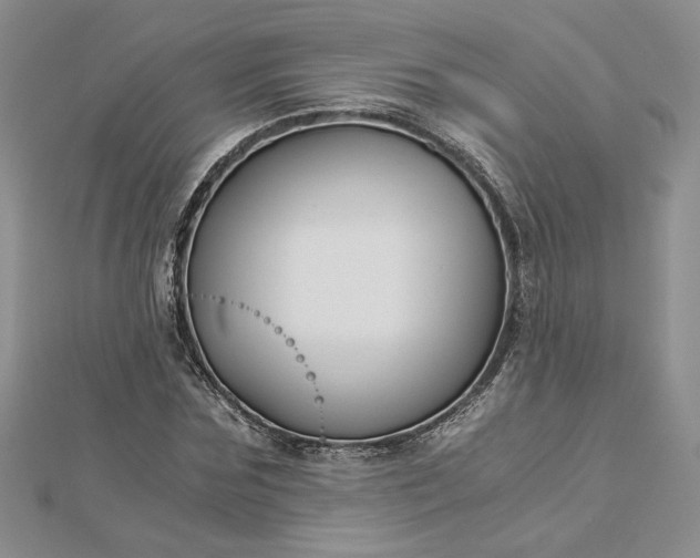 X0000112880875200909041639