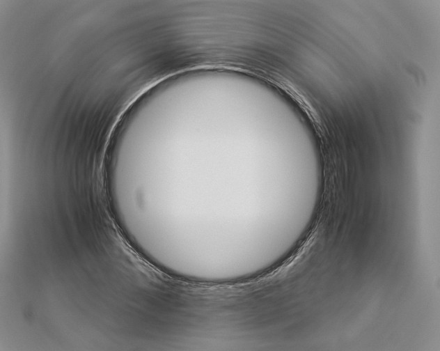 X0000112880876200909041639