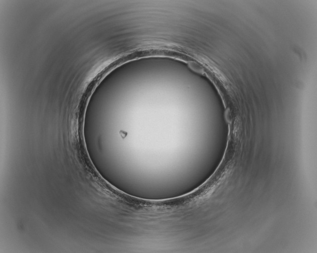 X0000112880877200909041639