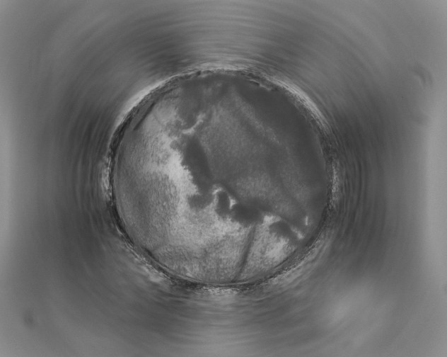 X0000112880878200909041639