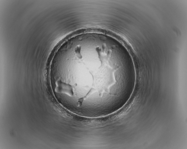 X0000112880879200909041639