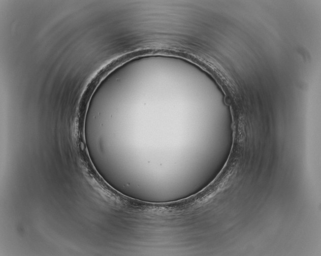 X0000112880880200909041639