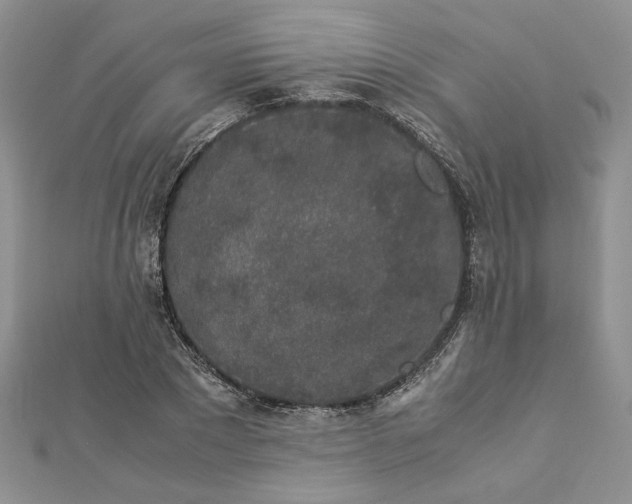 X0000112880881200909041639