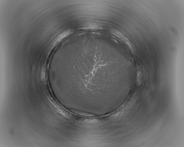 X0000112880882200909041639