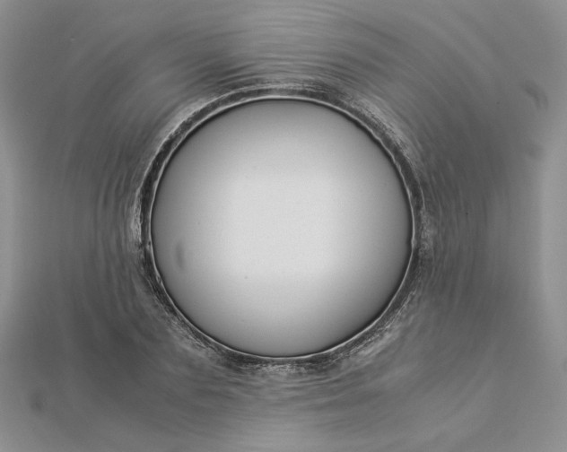 X0000112880883200909041639