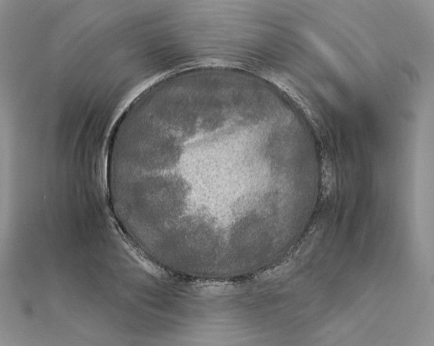 X0000112880886200909041639