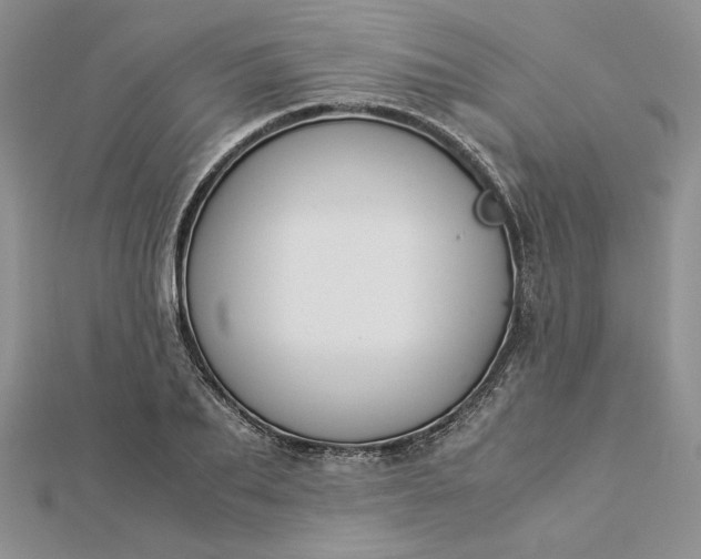 X0000112880887200909041639