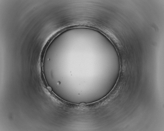 X0000112880888200909041639