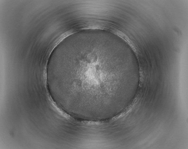 X0000112880890200909041639