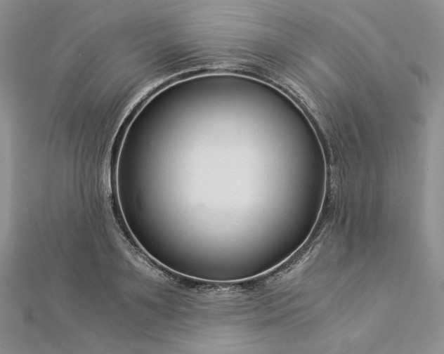 X0000112880891200909041639