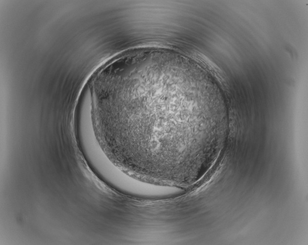 X0000112880892200909041639