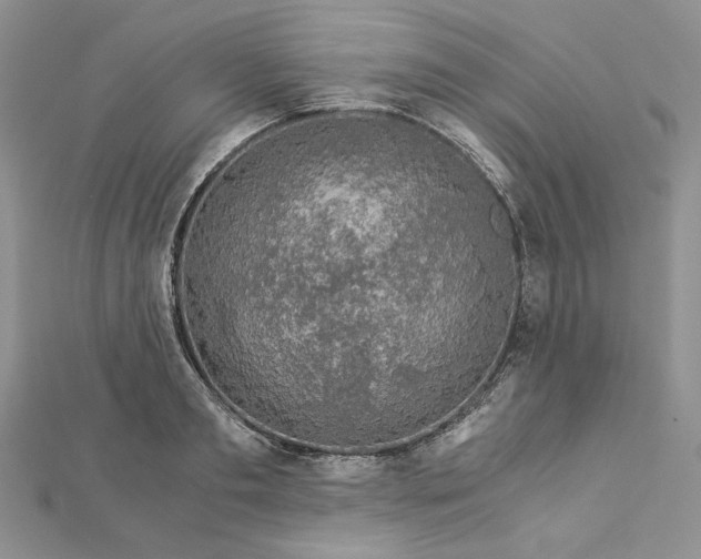 X0000112880893200909041639