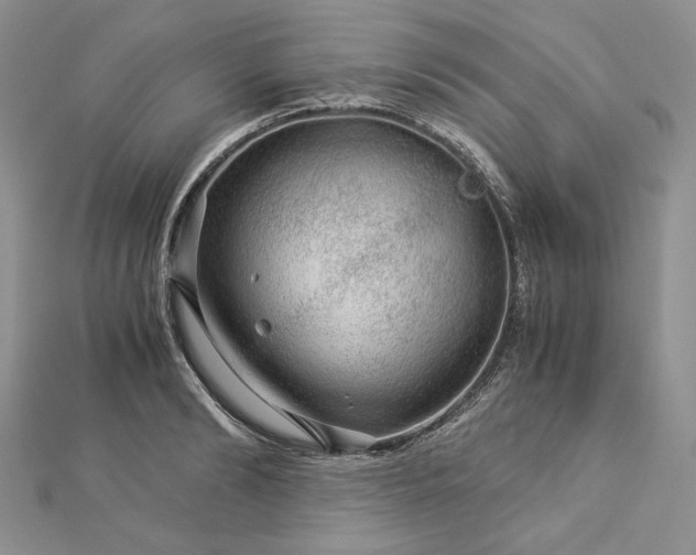 X0000112880894200909041639