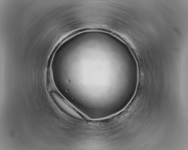 X0000112880895200909041639