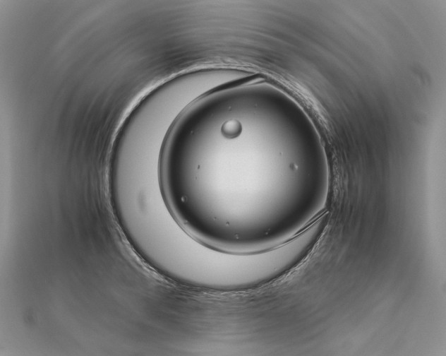 X0000112880896200909041639