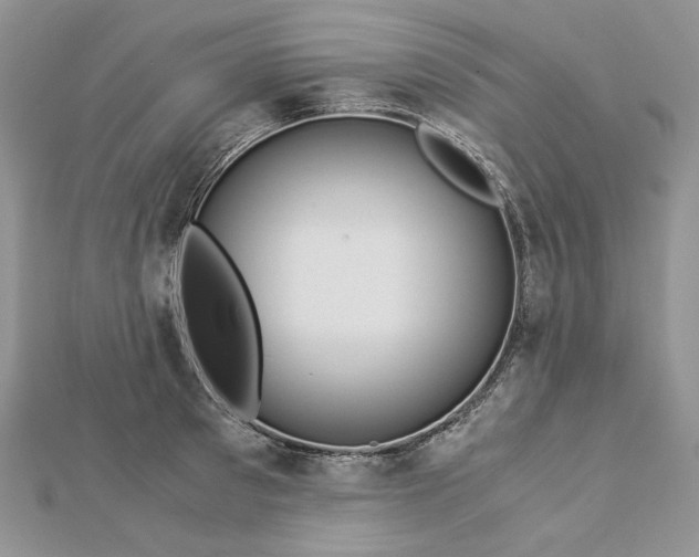 X0000112880897200909041639