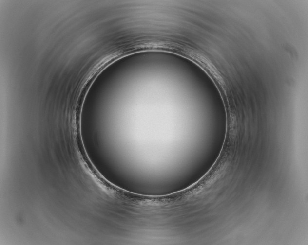 X0000112880898200909041639