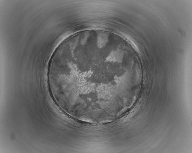 X0000112880899200909041639