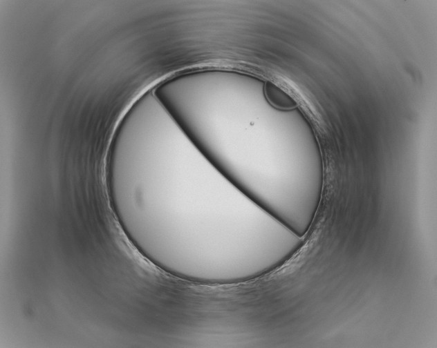 X0000112880900200909041639