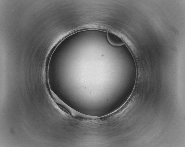 X0000112880902200909041639