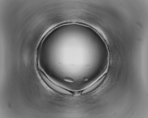 X0000112880903200909041639