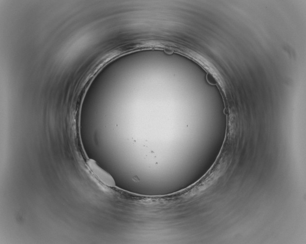 X0000112880906200909041639