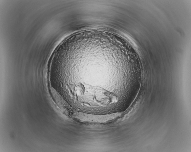 X0000112880907200909041639