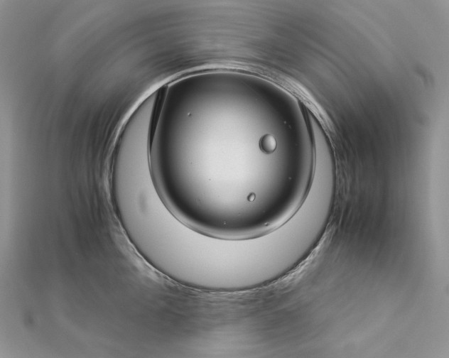 X0000112880908200909041639