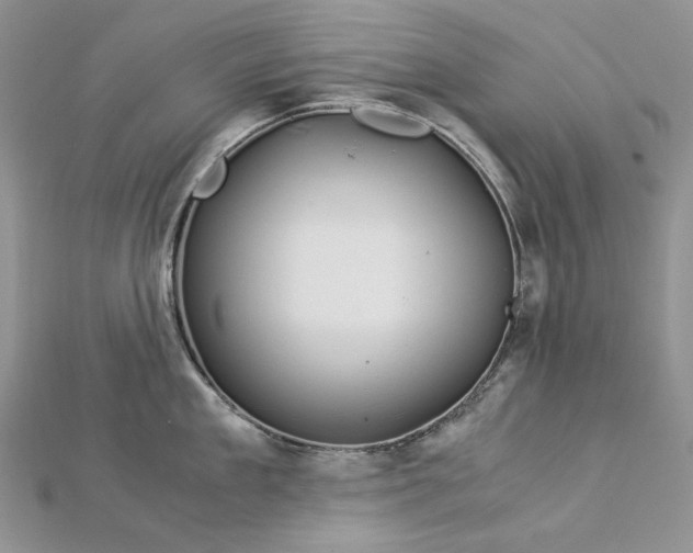 X0000112880909200909041639