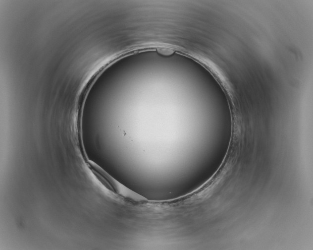 X0000112880910200909041638